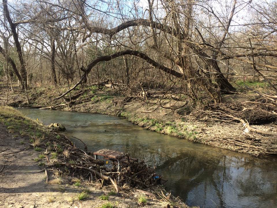 Quarterly photo monitoring by the urban riparian team at the treatment section of the creek in January 2019.